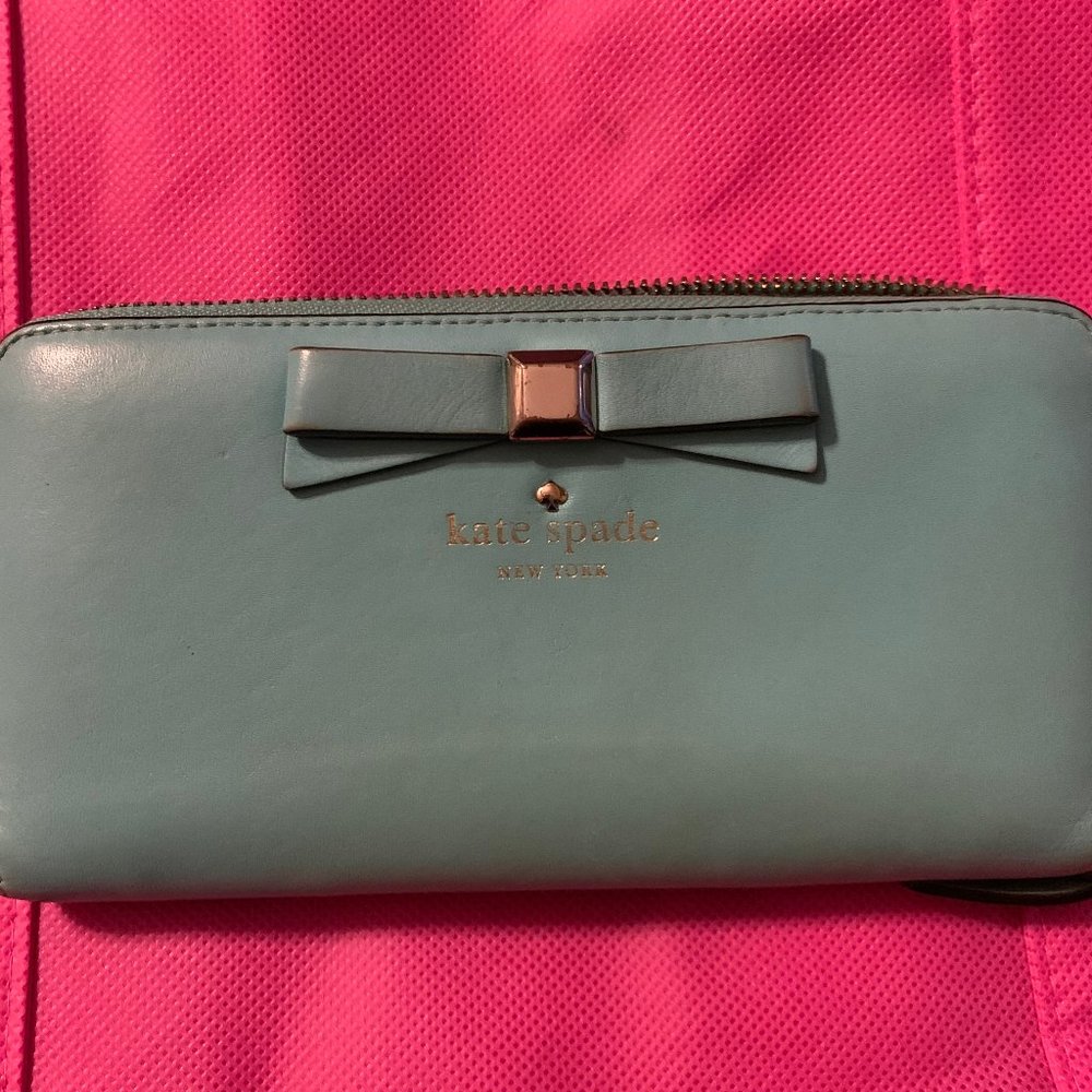 Kate Spade Clutch (Minor Defects)